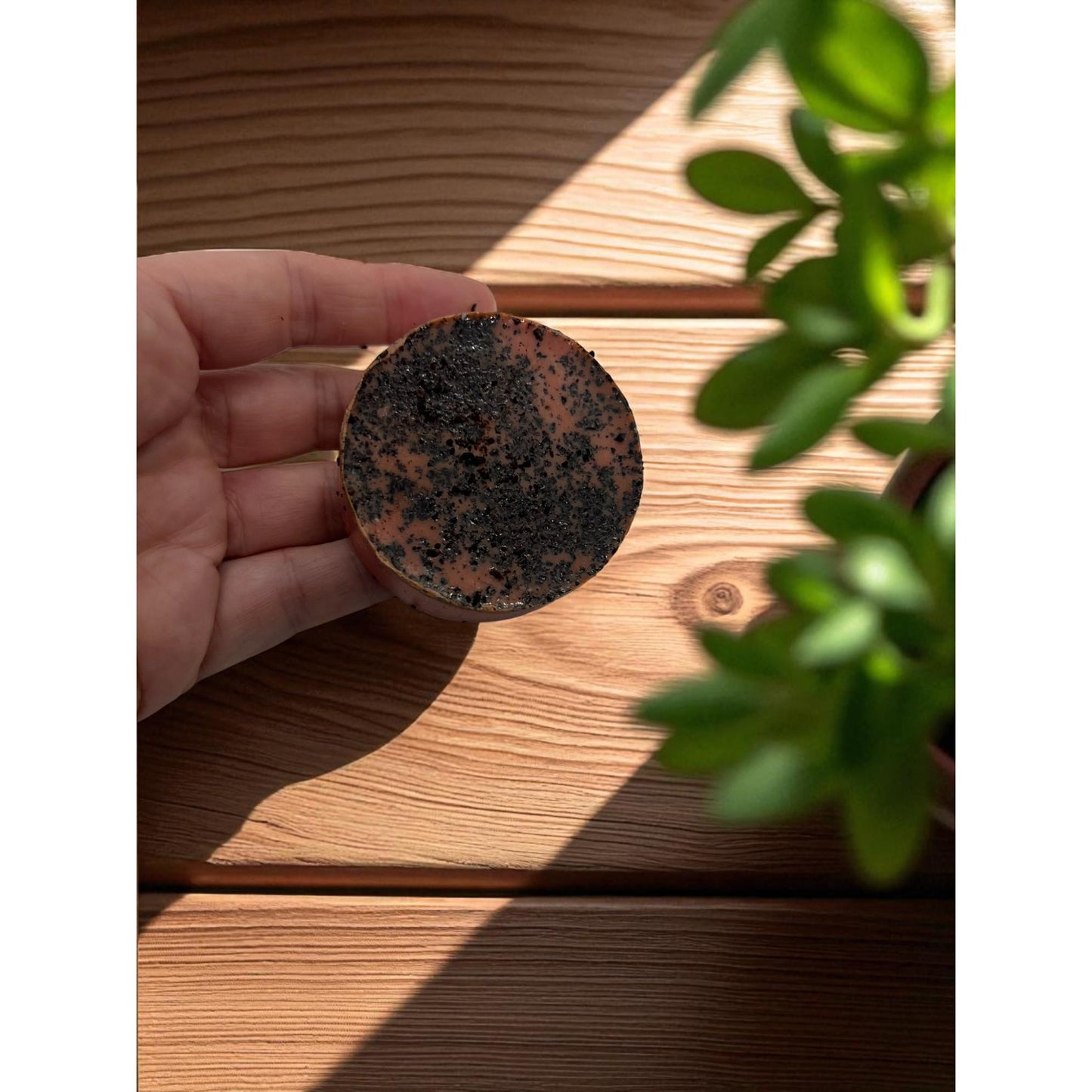 Peppermint Coffee Bark Exfoliating Bar Soap