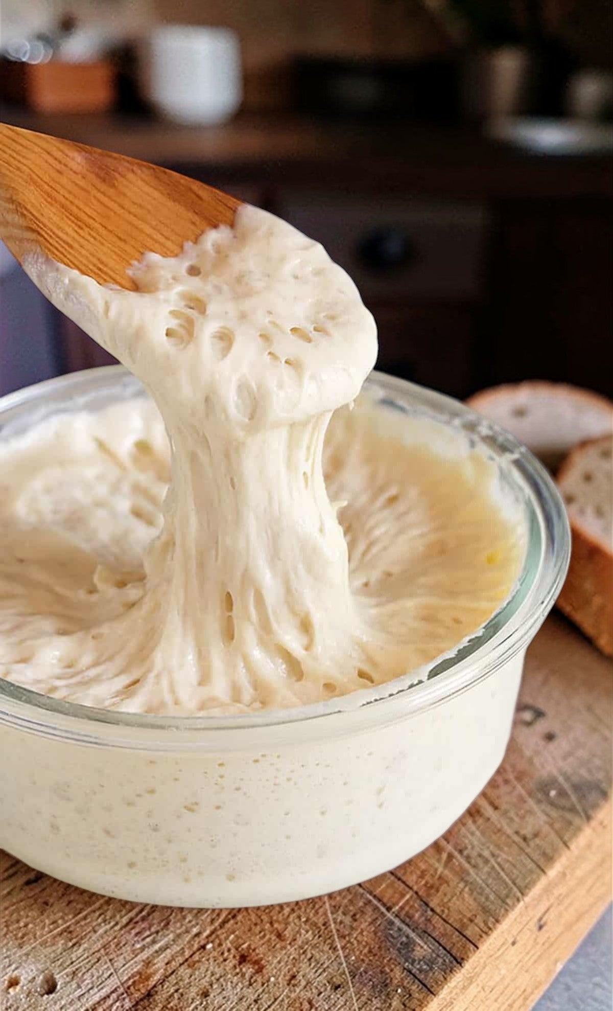 100 + year old Sourdough Starter