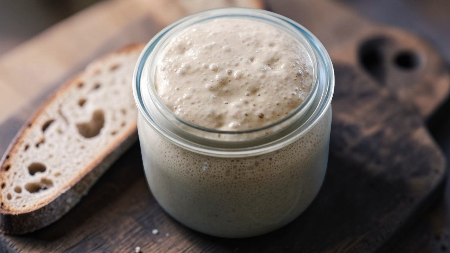 100 + year old Sourdough Starter
